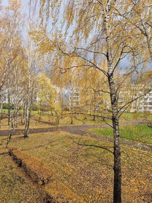 Ilguciema Apartment Riga Exterior foto